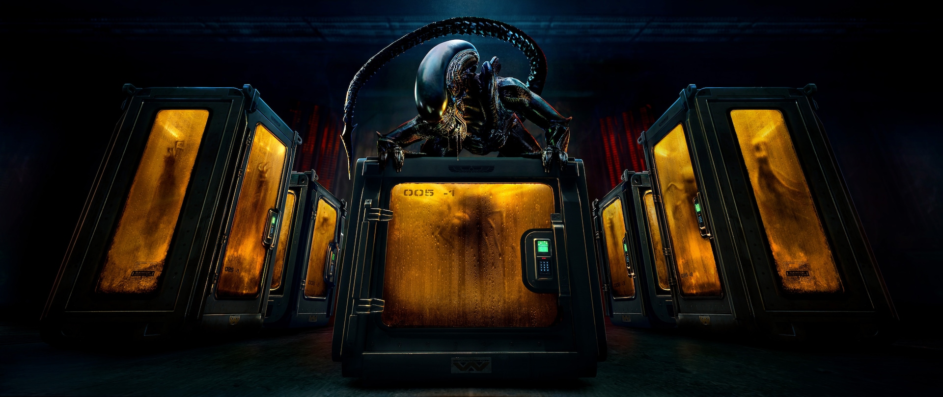 A Xenomorph crouched on a large yellow crate. 