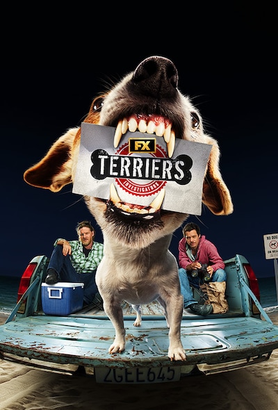 Terriers Main Art