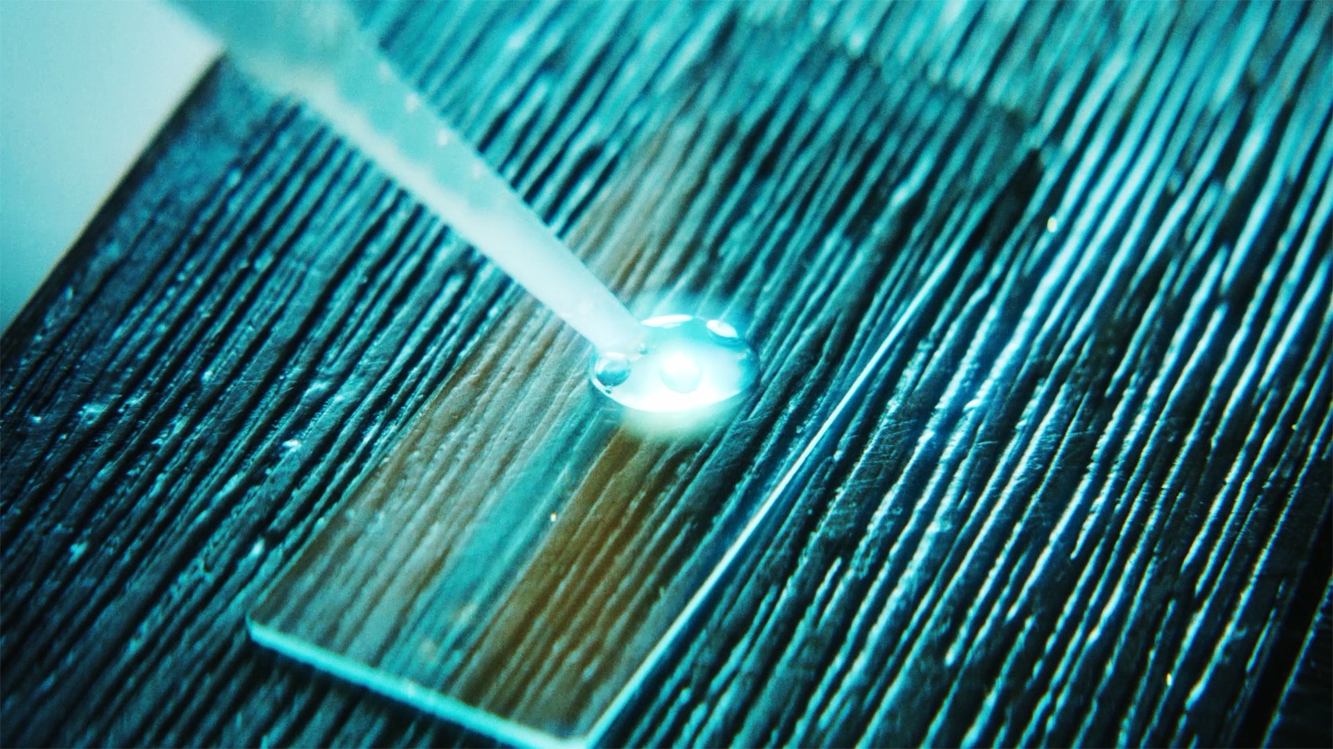 Close up of lab sample.