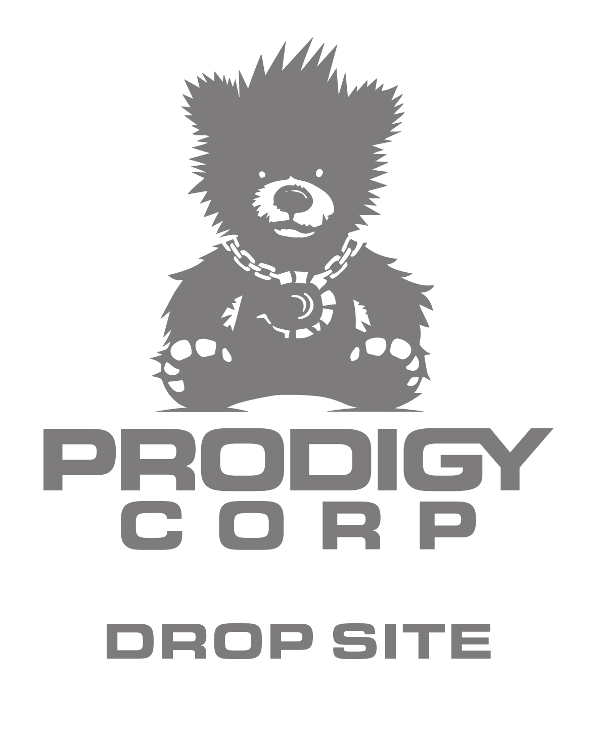 Prodigy Bear