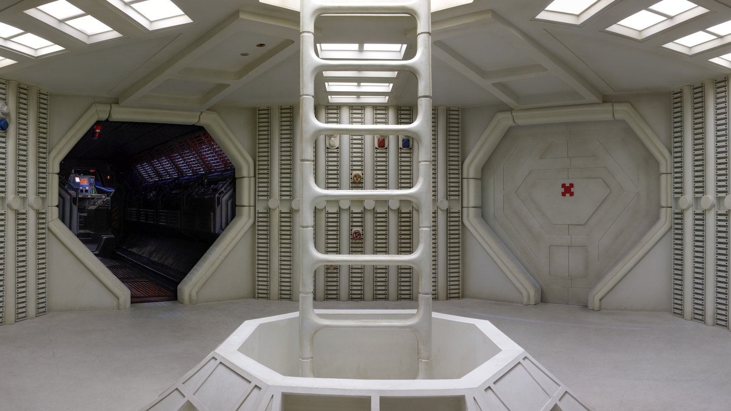 corridor with white ladder