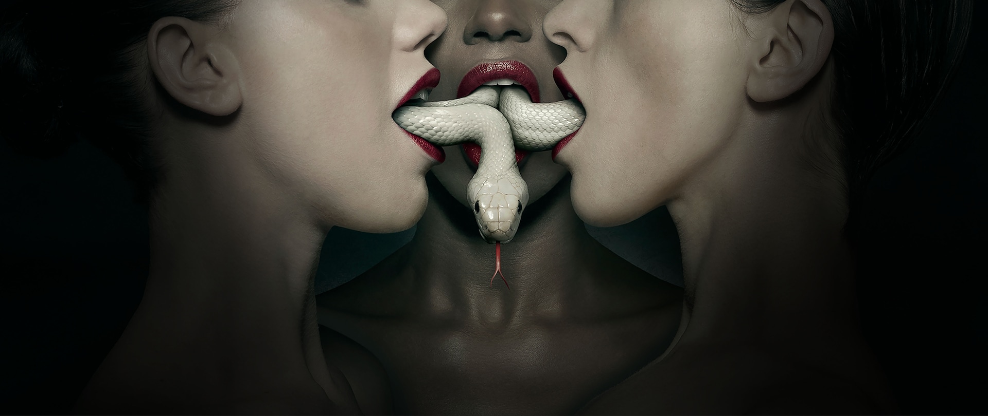 Three women wearing plum lipstick with a white snake weaving through their open mouths for AHS Installment 3 Coven