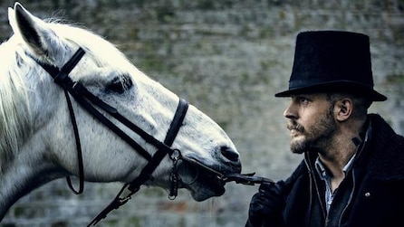 A white horse facing a man in a black top hat