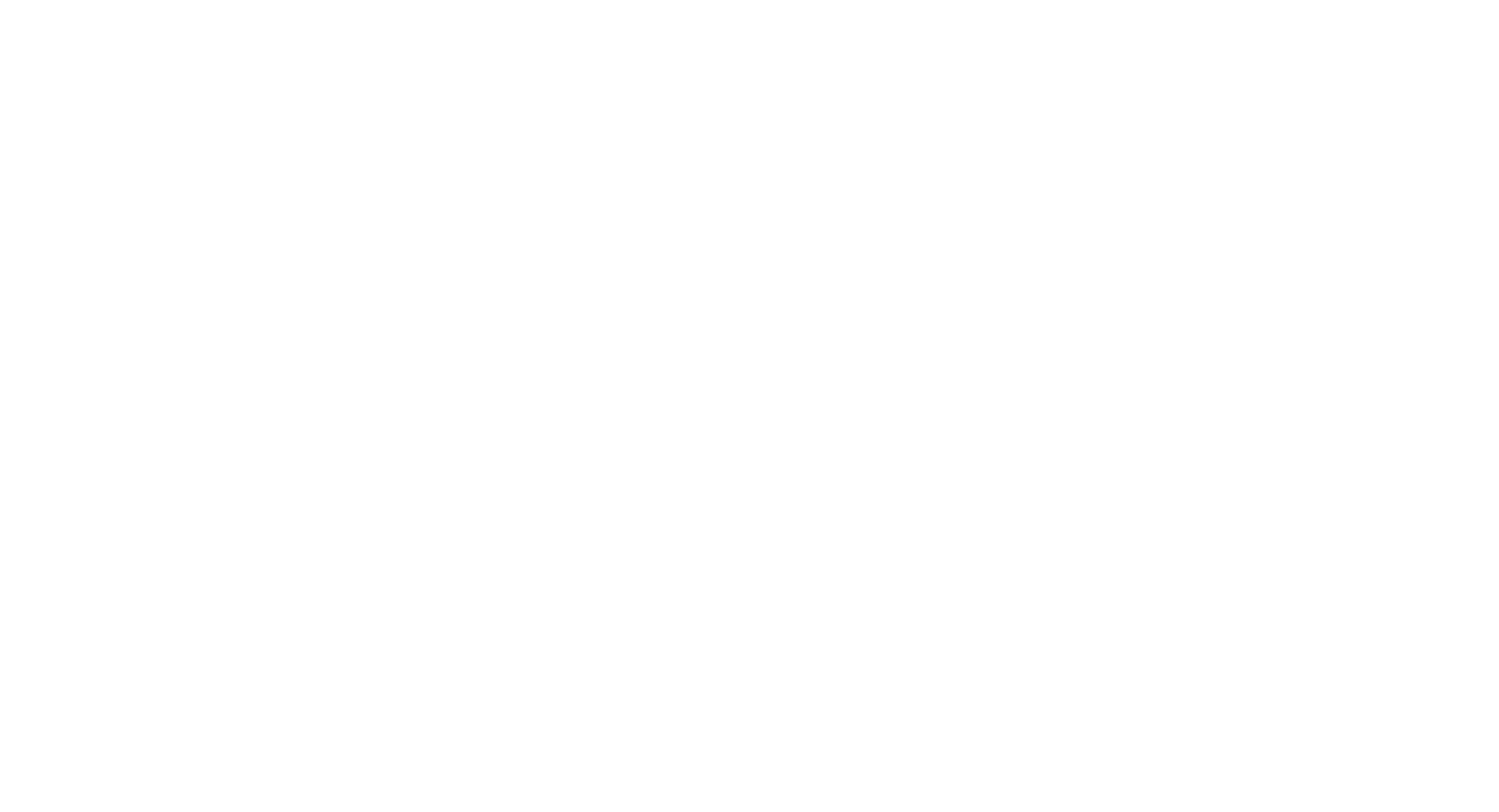 New FX Logo White