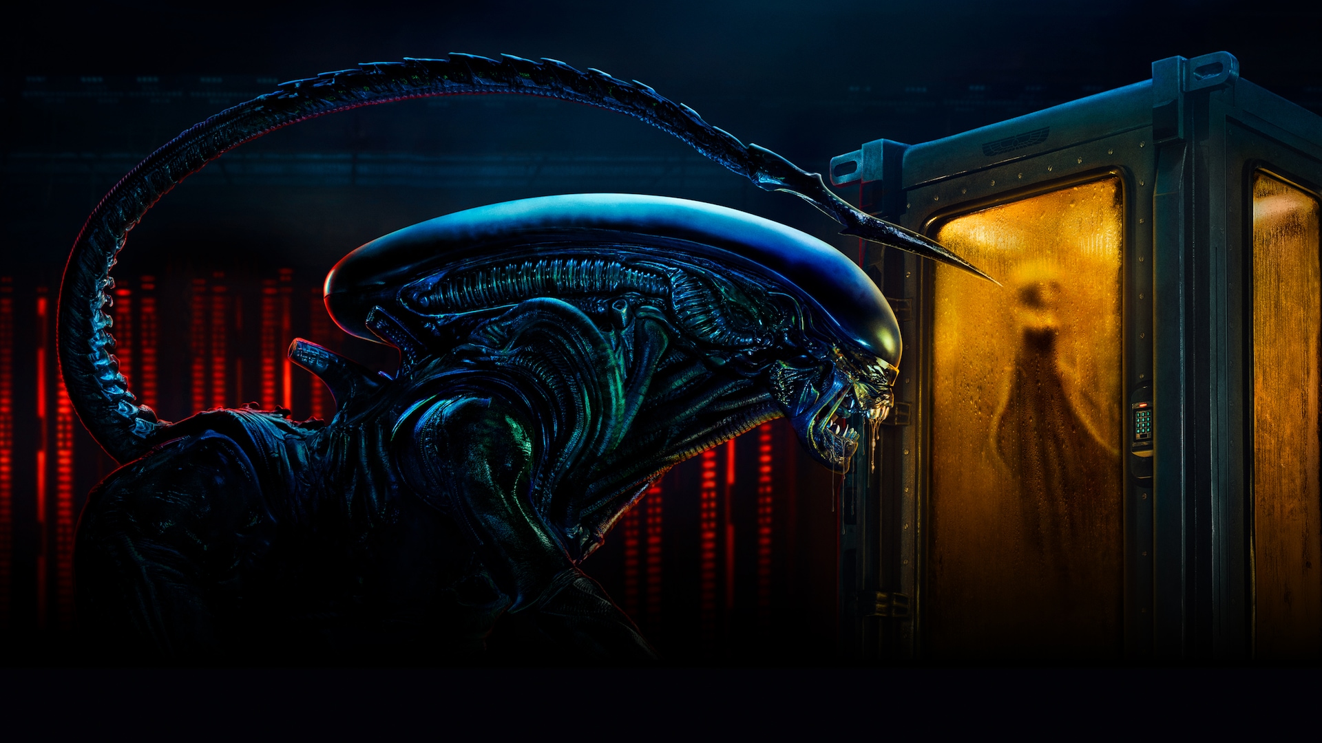 FXSDCC Xeno