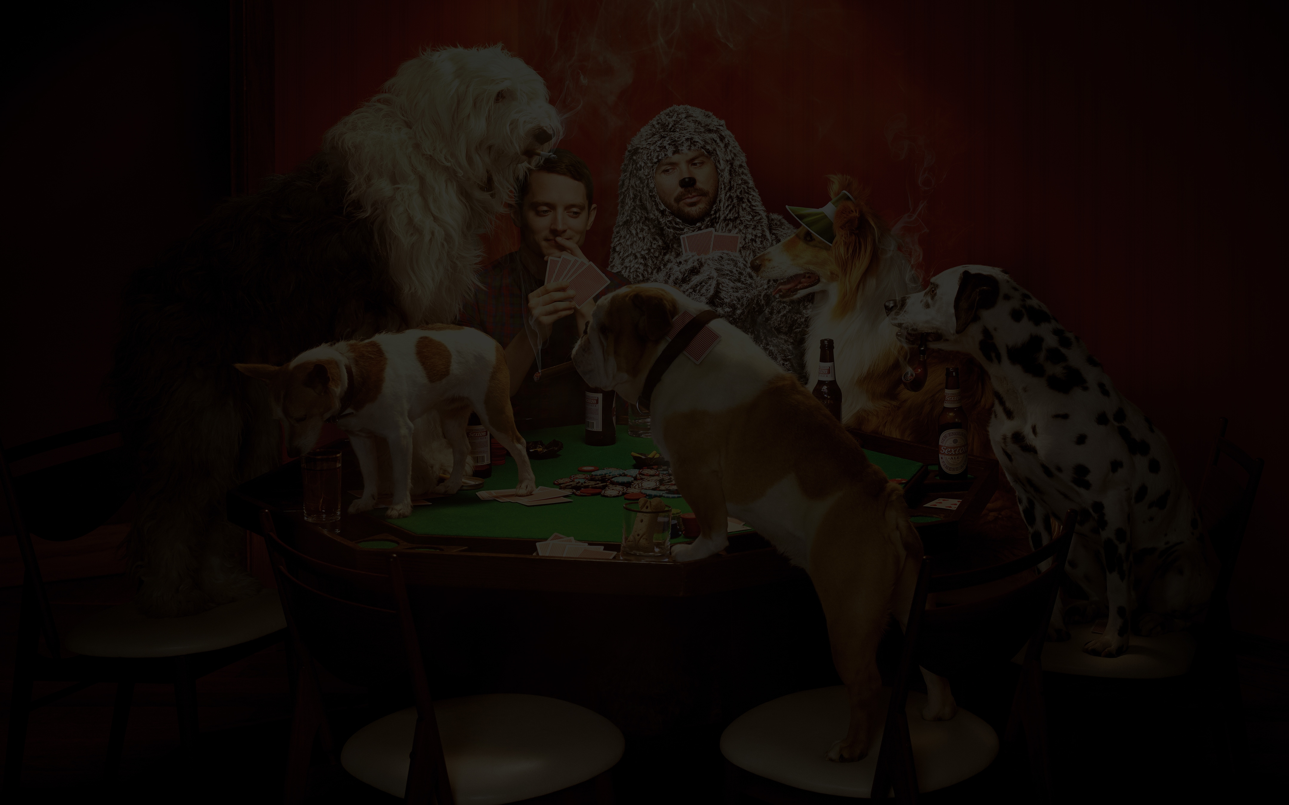 A hilarious, dark, weird tv series about a suicidal ex-lawyer befriending  his neighbor's aesopian dog named Wilfred. So underrated in my opinion. It  stars Elijah Wood as Ryan and creator Jason Gann, image size:4320x2700